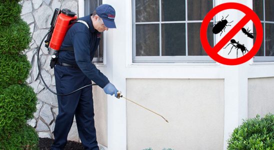 Köse Kene İlaçlama böcek ilaçlama ve haşere kontrolü — ilaclama-tr.com